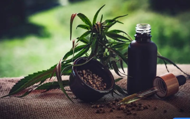 São Paulo veta PL que amplia acesso a itens de cannabis medicinal
