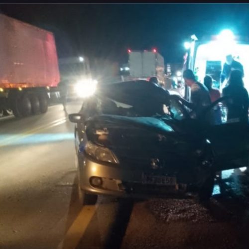 Carro colide em animal solto na BR 407 em Jaguarari
