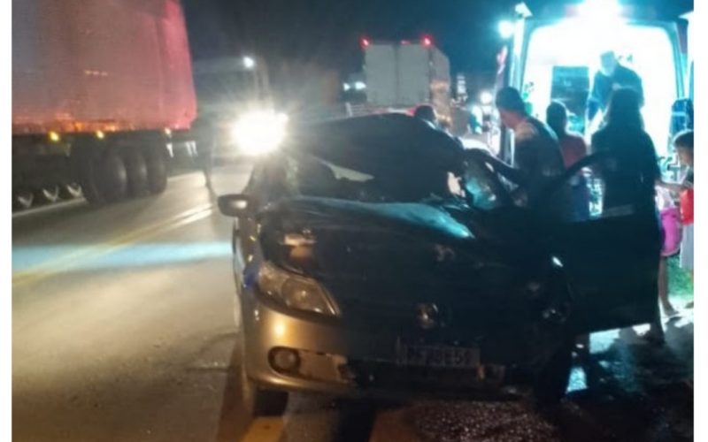 Carro colide em animal solto na BR 407 em Jaguarari