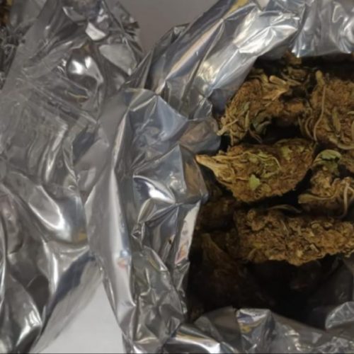 Prisão por Tráfico de drogas em Pindobaçu