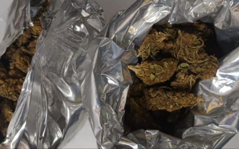 Prisão por Tráfico de drogas em Pindobaçu