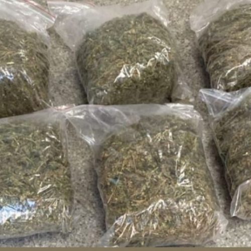 Polícia Militar apreende mais de 3 kg de maconha e prende dois suspeitos no Terminal Rodoviário de Senhor do Bonfim