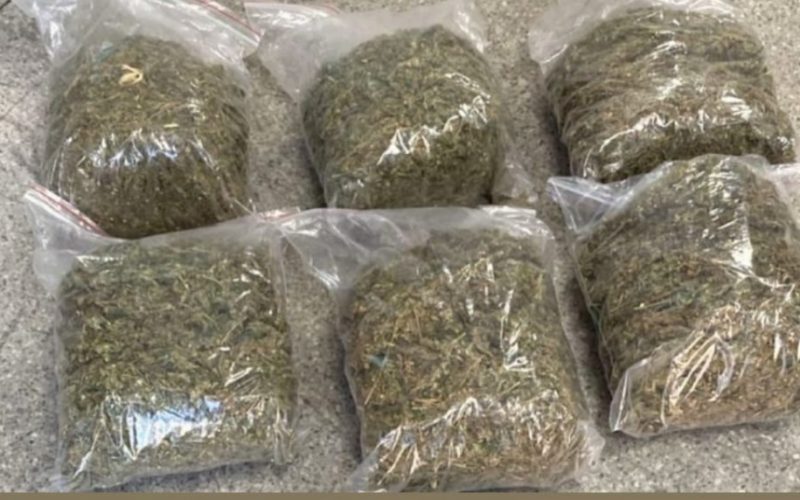 Polícia Militar apreende mais de 3 kg de maconha e prende dois suspeitos no Terminal Rodoviário de Senhor do Bonfim