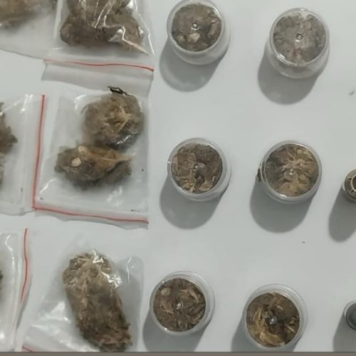 Apreensão De Drogas E Munição De Calibre Restrito Em Pindobaçu