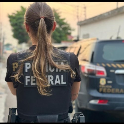 Delegados da Polícia Federal repudiam fala de Lula sobre “fingir trabalhar”