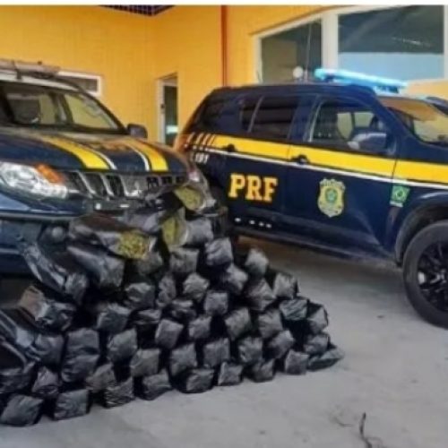 Dois homens são detidos com 51 kg de “supermaconha” na BR-428, em Petrolina