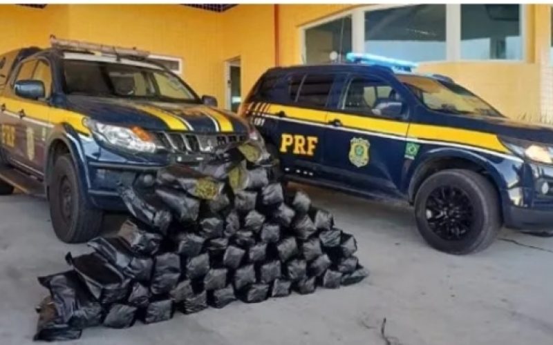 Dois homens são detidos com 51 kg de “supermaconha” na BR-428, em Petrolina
