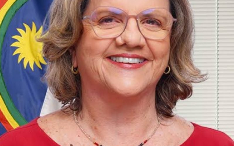 Teresa Leitão assume liderança do governo no Senado após saída de Jaques Wagner
