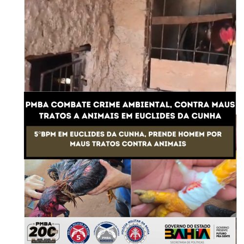 Polícia efetua prisão  por maus tratos de animais