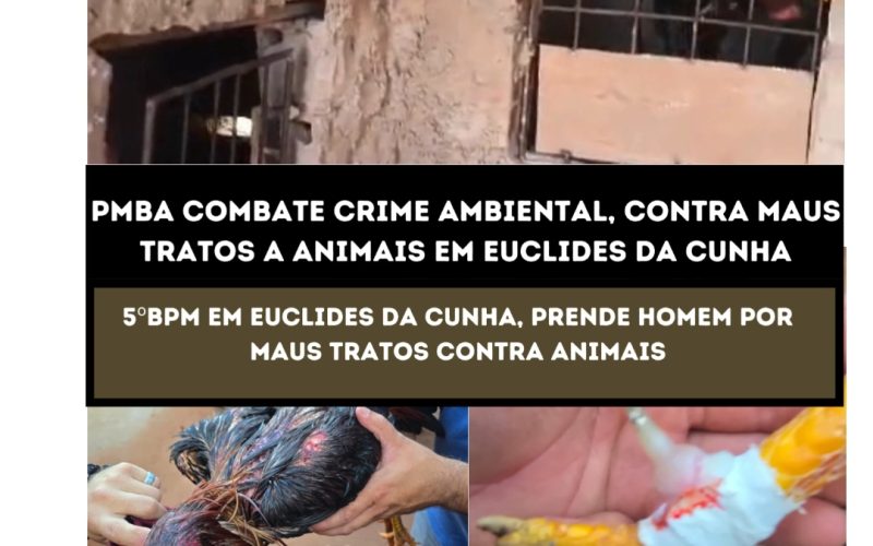 Polícia efetua prisão  por maus tratos de animais