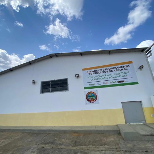Agroindústria fortalece apicultura e amplia renda de agricultores familiares no Semiárido baiano