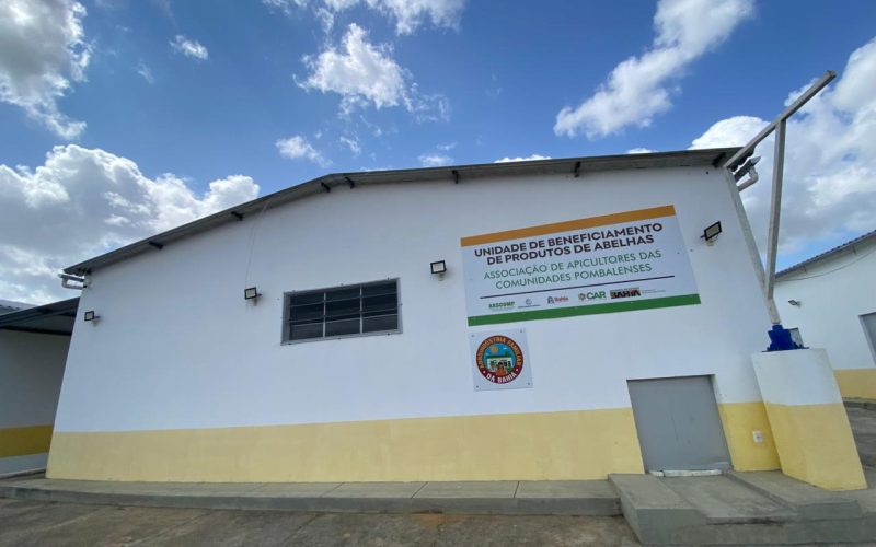 Agroindústria fortalece apicultura e amplia renda de agricultores familiares no Semiárido baiano