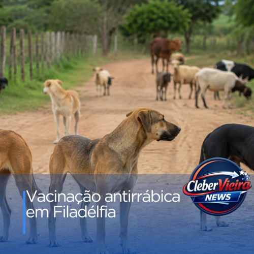 Prefeitura de Filadélfia inicia Campanha de Vacinação Antirrábica para cães e gatos