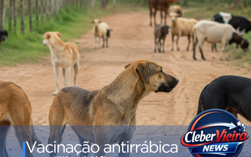 Prefeitura de Filadélfia inicia Campanha de Vacinação Antirrábica para cães e gatos