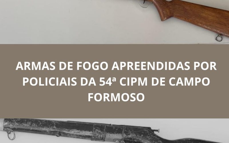 Apreensão de Armas de Fogo em Campo Formoso