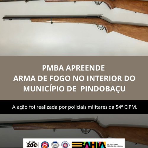 Pindobaçu: PM realiza  apreensão de arma de fogo/ Apreensão de arma branca