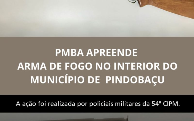 Pindobaçu: PM realiza  apreensão de arma de fogo/ Apreensão de arma branca