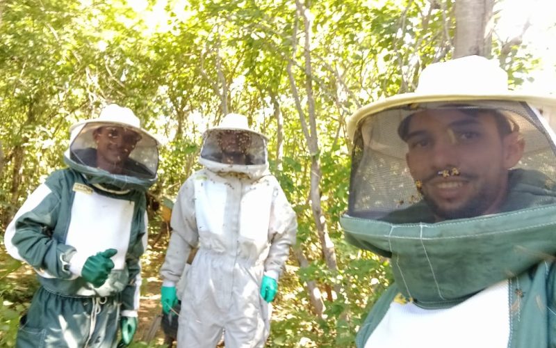 Certificação SIM agrega valor e impulsiona vendas