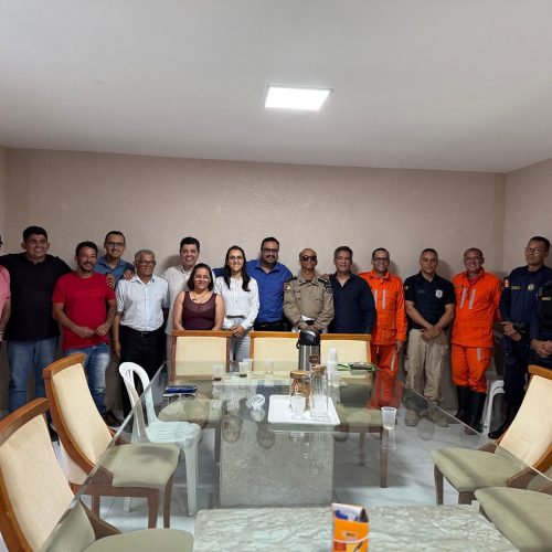 Reunião debateu endurecimento da lei dos animais abandonados com multas mais severas, uso de chip e campanhas de conscientização