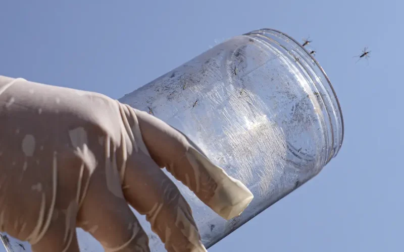 Combate a surto de chikungunya em reserva indígena do MS ganha reforço