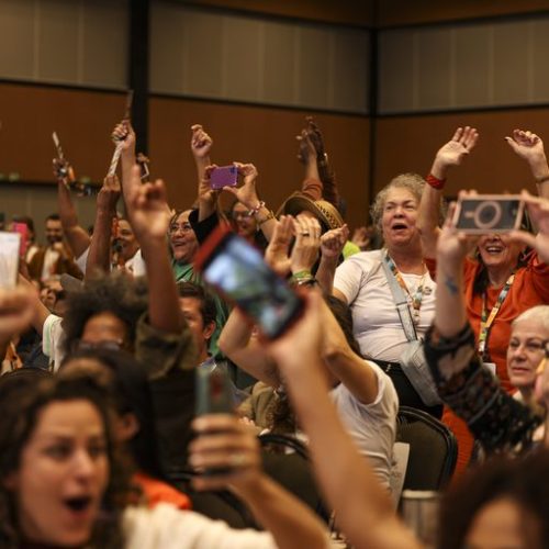Sociedade entrega à ministra Marina Silva documento com 104 propostas para a política ambiental brasileira