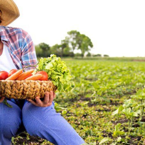 FNDE fortalece participação das mulheres na alimentação escolar