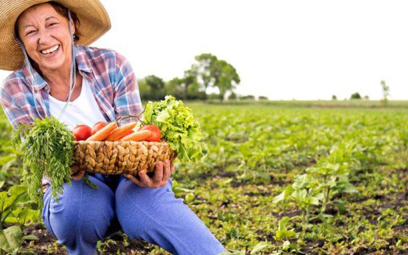 FNDE fortalece participação das mulheres na alimentação escolar