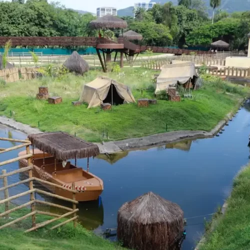 Gripe aviária é confirmada em galinhas d’Angola do BioParque no RJ