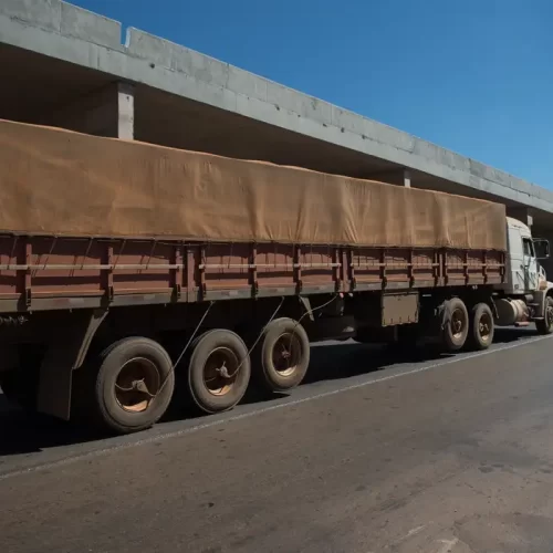 Setor de serviços bate novo recorde e fecha junho com alta de 0,3%