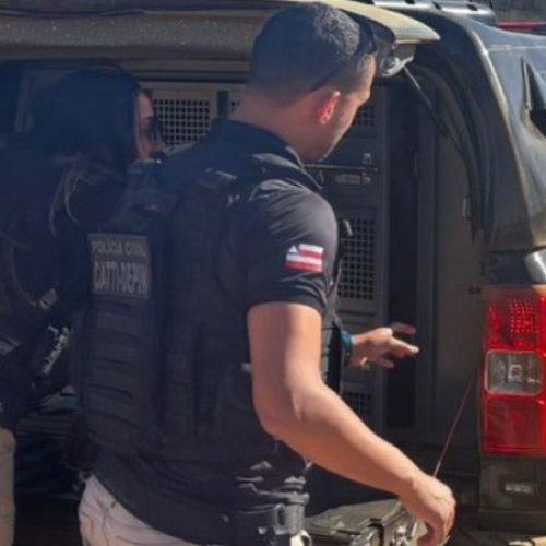 Polícia prende suspeito de comercializar pornografia infantil em cidade baiana