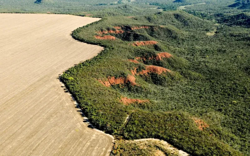 MPF defende vetos a trechos da nova Lei de Licenciamento Ambiental