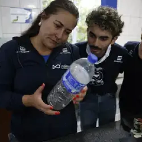 Estudo acha microplástico em 93% de amostra de peixes no litoral do PR