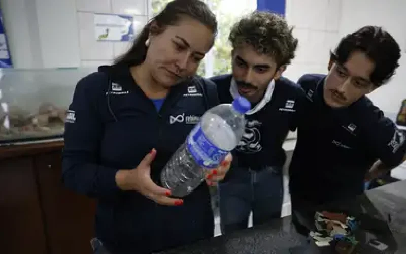 Estudo acha microplástico em 93% de amostra de peixes no litoral do PR