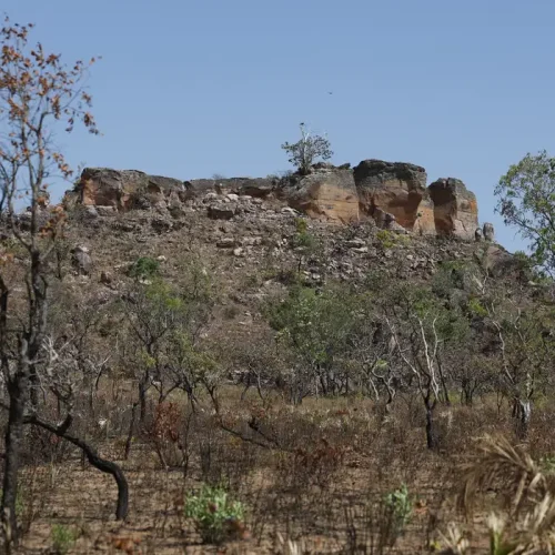 Pesquisa com IA identifica terras agrícolas abandonadas no Cerrado