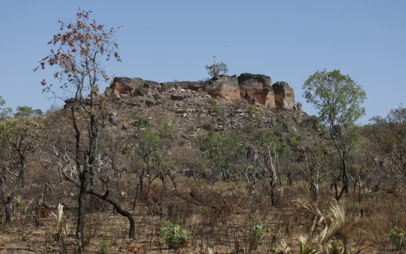 Pesquisa com IA identifica terras agrícolas abandonadas no Cerrado