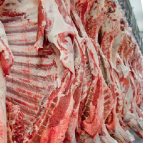 Sem os EUA, surge um novo comprador para a carne brasileira