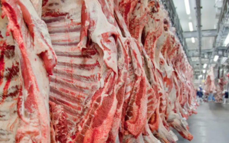Sem os EUA, surge um novo comprador para a carne brasileira