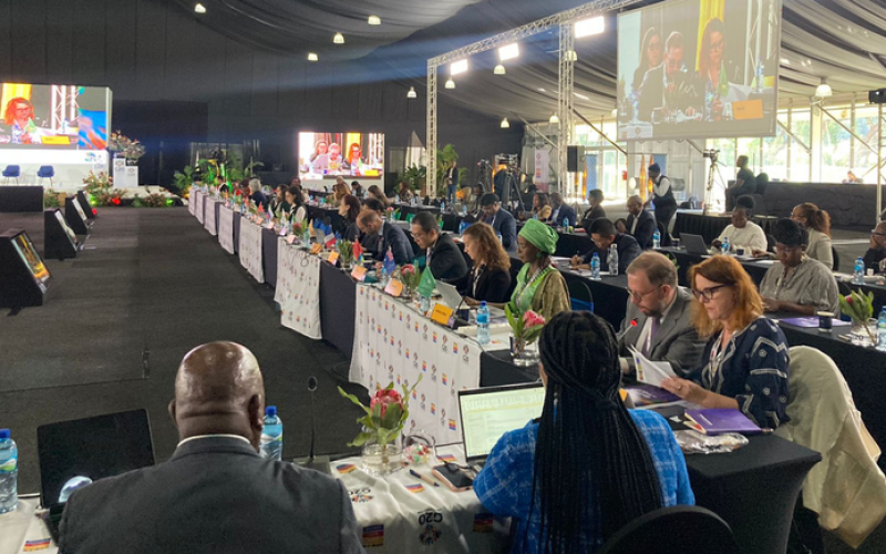 Brasil reforça compromisso com igualdade de gênero na 2ª Reunião do GT Mulheres do G20 na África do Sul