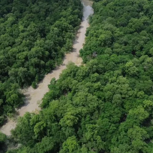 Arqueólogos estudam urnas funerárias achadas em região remota do AM