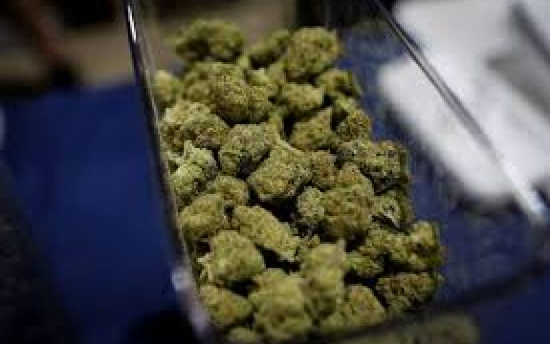 Homem registra B.O. por levar “calote” de traficante de maconha