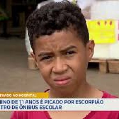 Menino de 11 anos é picado por escorpião em ônibus escolar do DF