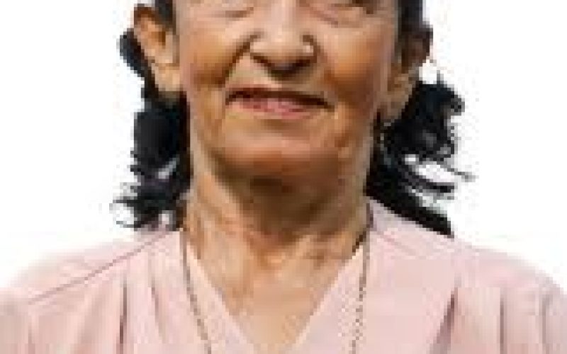 Vereadora Socorro do Pelé não votará nos candidatos do prefeito Laércio Junior