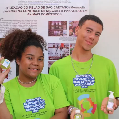 Estudantes criam carrapaticida natural a partir de planta medicinal