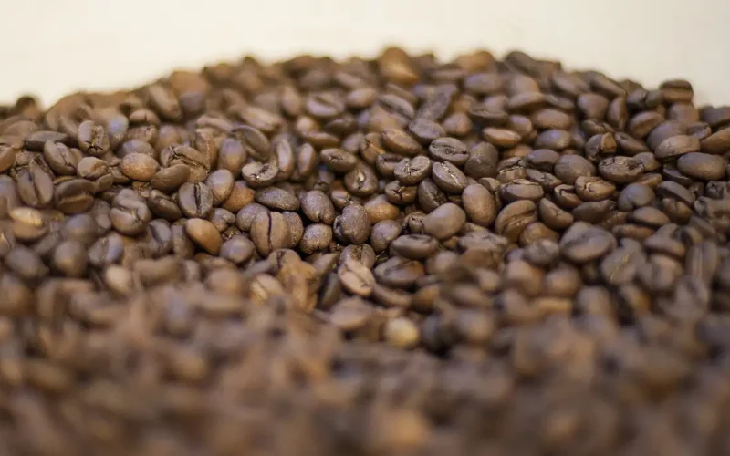 China autoriza 183 empresas brasileiras a exportarem café para o país