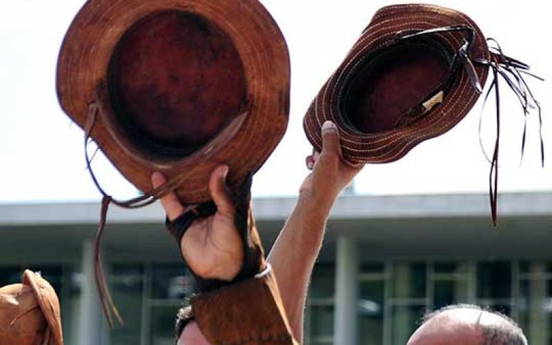 Projeto que institui Dia Nacional do Nordestino avança no Senado