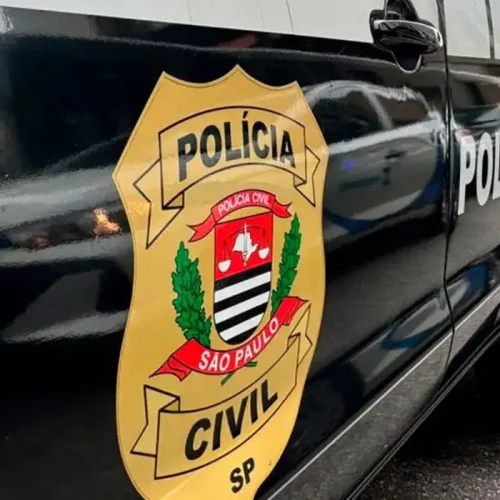 Polícia Civil realiza operação contra falso de leilão de veículos