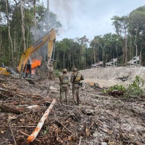 Ações integradas da PF e ICMBio desarticulam garimpos ilegais de ouro no Amazonas