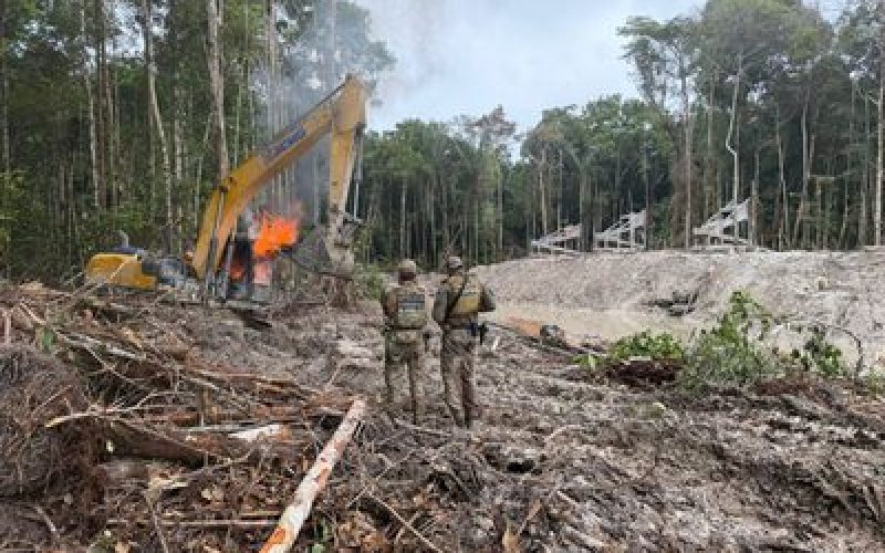 Ações integradas da PF e ICMBio desarticulam garimpos ilegais de ouro no Amazonas