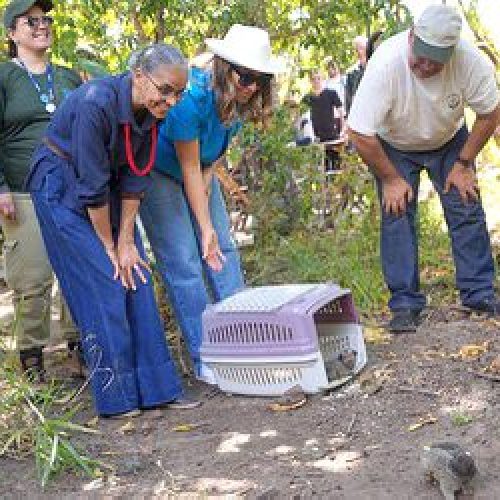 Marina Silva e Janja participam da soltura de 42 animais reabilitados no Cerrado