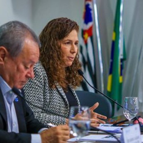 Em encontro com ministra, empresários da indústria pedem mais servidores públicos